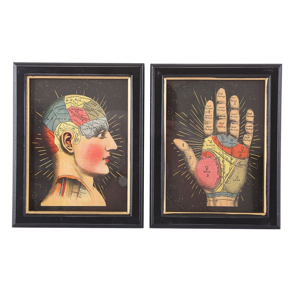 Palmistry And Phrenology Framed Prints
